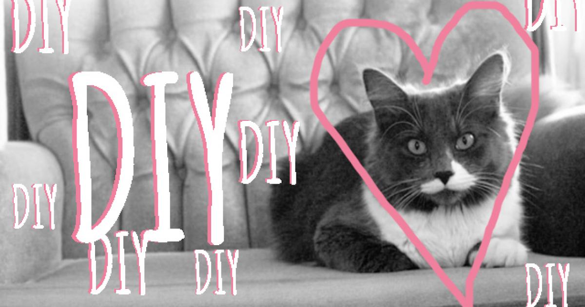 Des DIY de CHATS-DAILS #jokedemaman