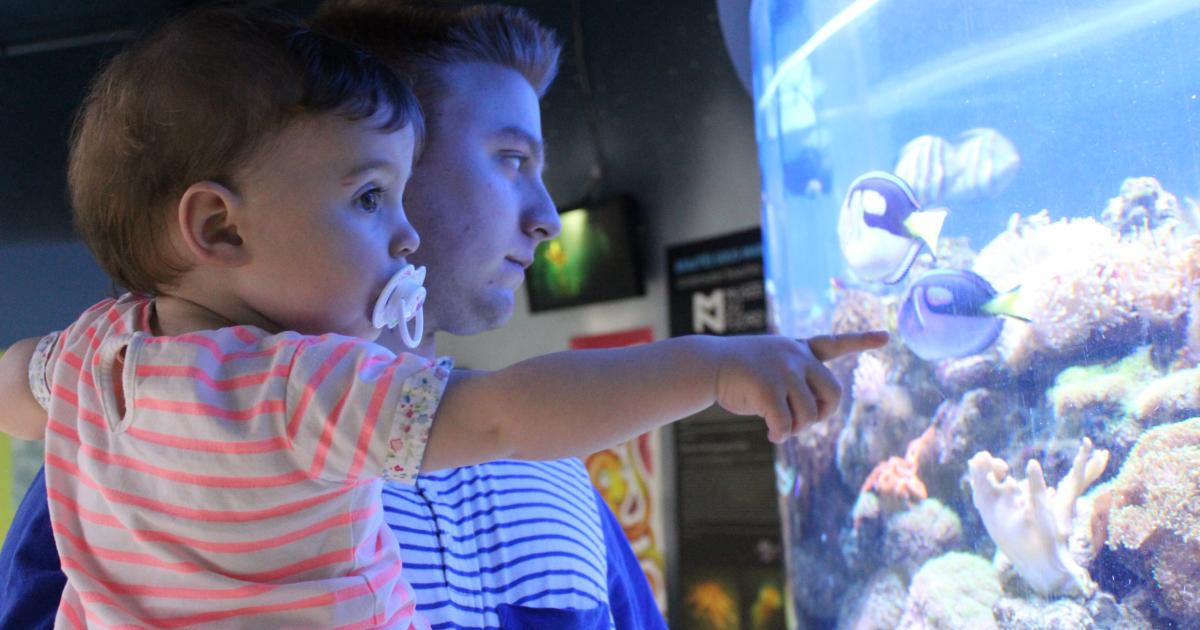 L'aquarium de Québec, même avec bambin de 18 mois!