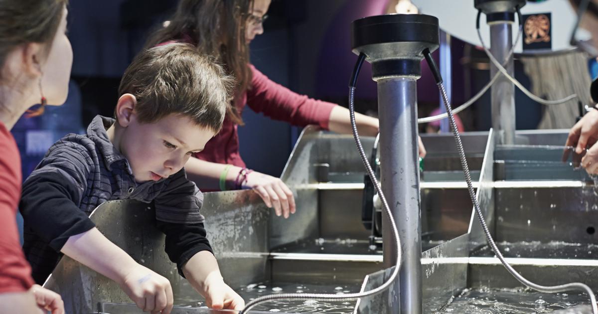 Plus de 20 activités à faire en famille à Montréal!