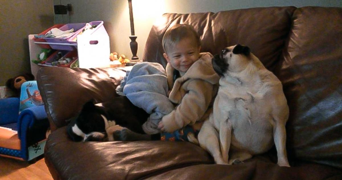 Avoir un animal comme meilleur ami? Oh que oui!