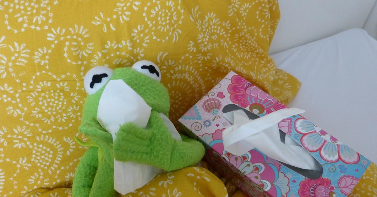 Ton petit guide de survie pour la période des petits et gros virus.