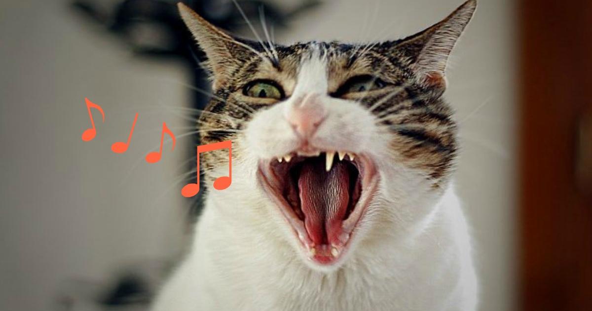 Trois raisons de chanter (faux) quand on est maman
