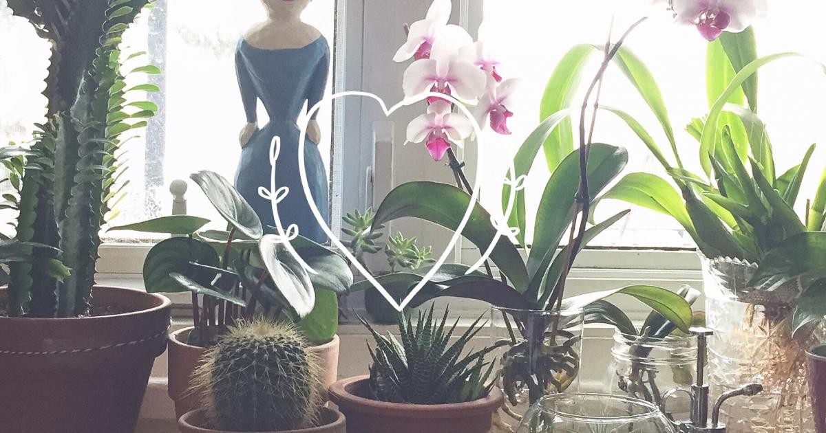 Ta petite plante verte… sans danger pour bébé!