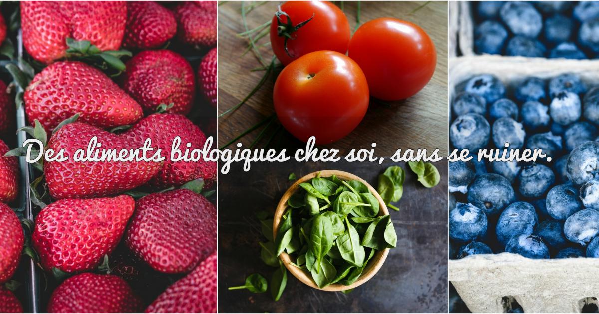 Manger bio sans se ruiner? Yes, we can!