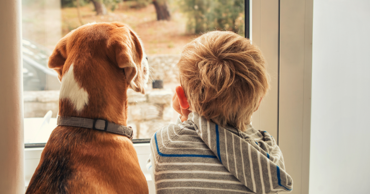 Père absent, de père en fils