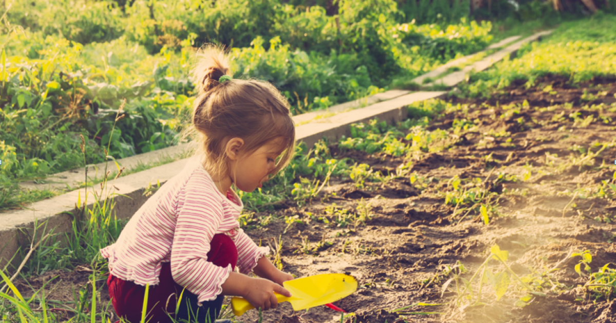 5 idées d’activités familiales pour célébrer l’arrivée du printemps
