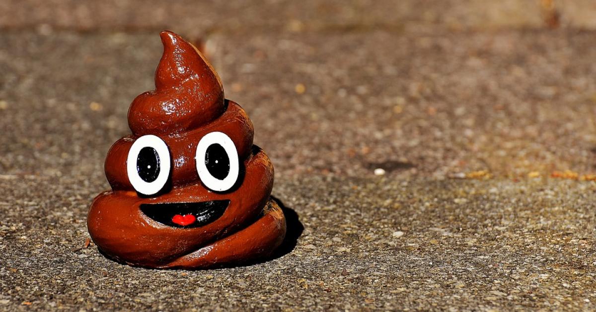 Les expressions et les mots de toilette : drôles ou pas?