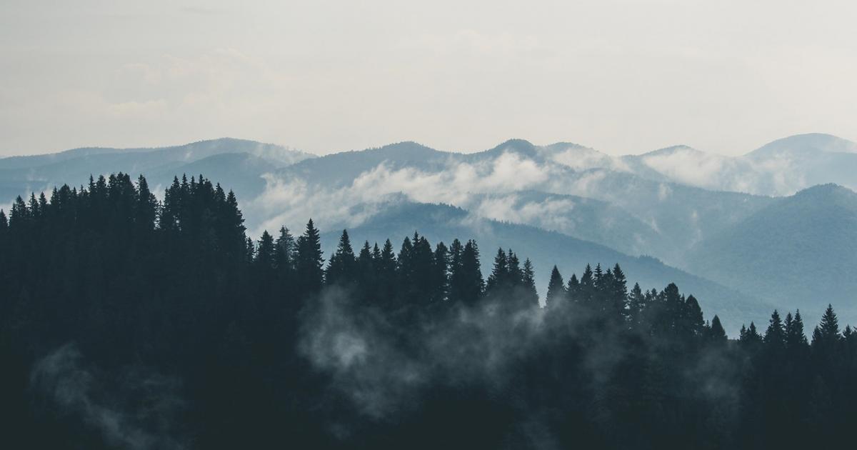5 livres qui plairont aux passionné.e.s de nature et d’aventure