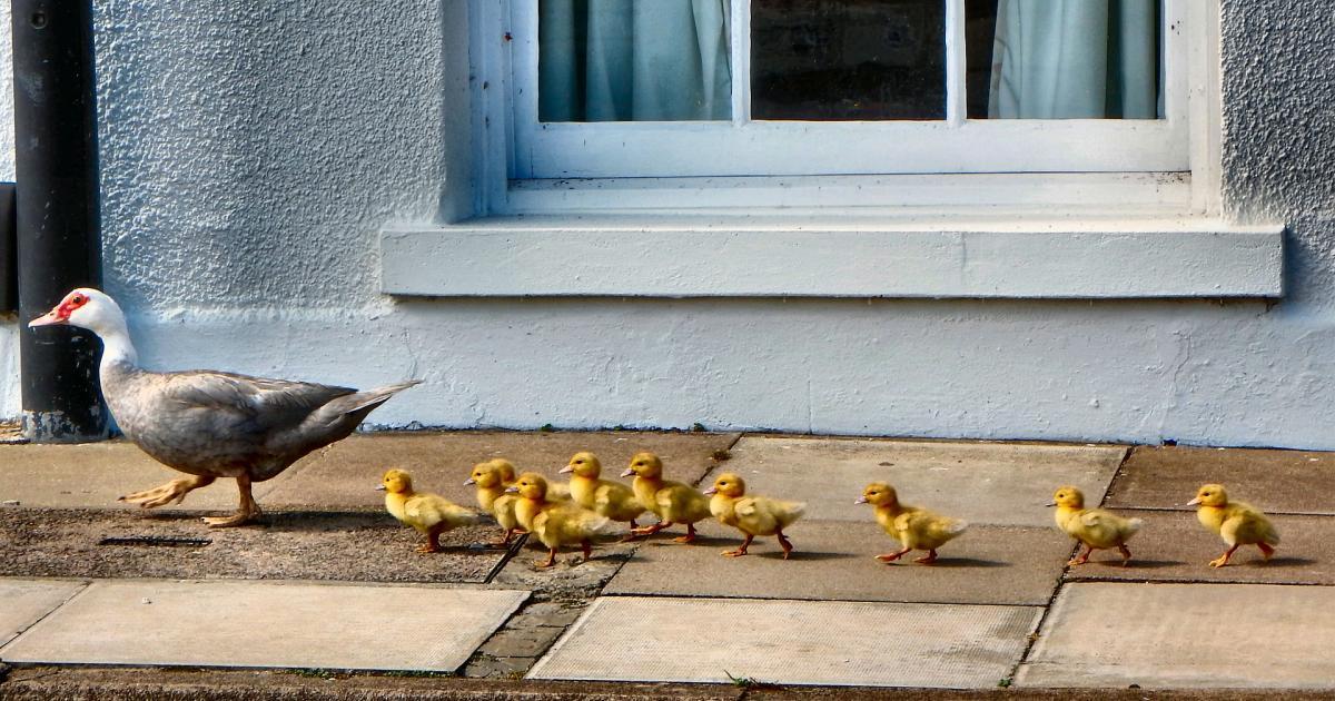 La famille, un bien précieux