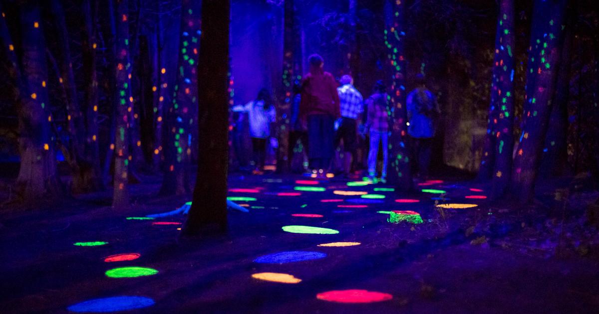 Encore une fois, le zoo de Granby s’illumine pour Les Noctambules