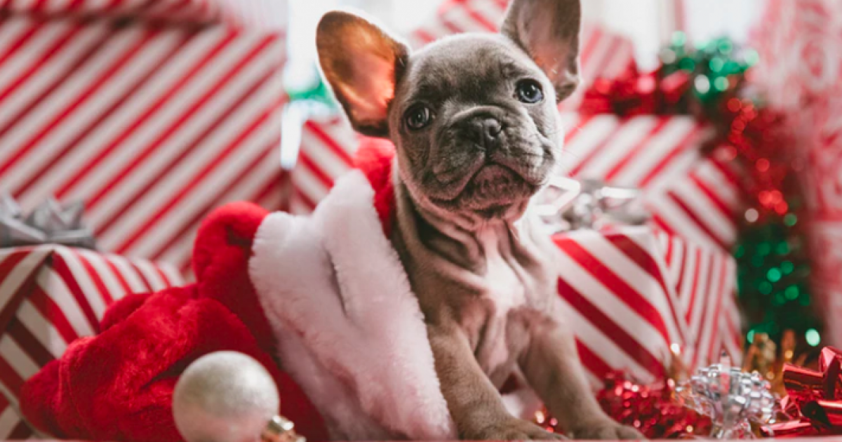 QUIZ : Quel genre de parent êtes-vous à Noël?