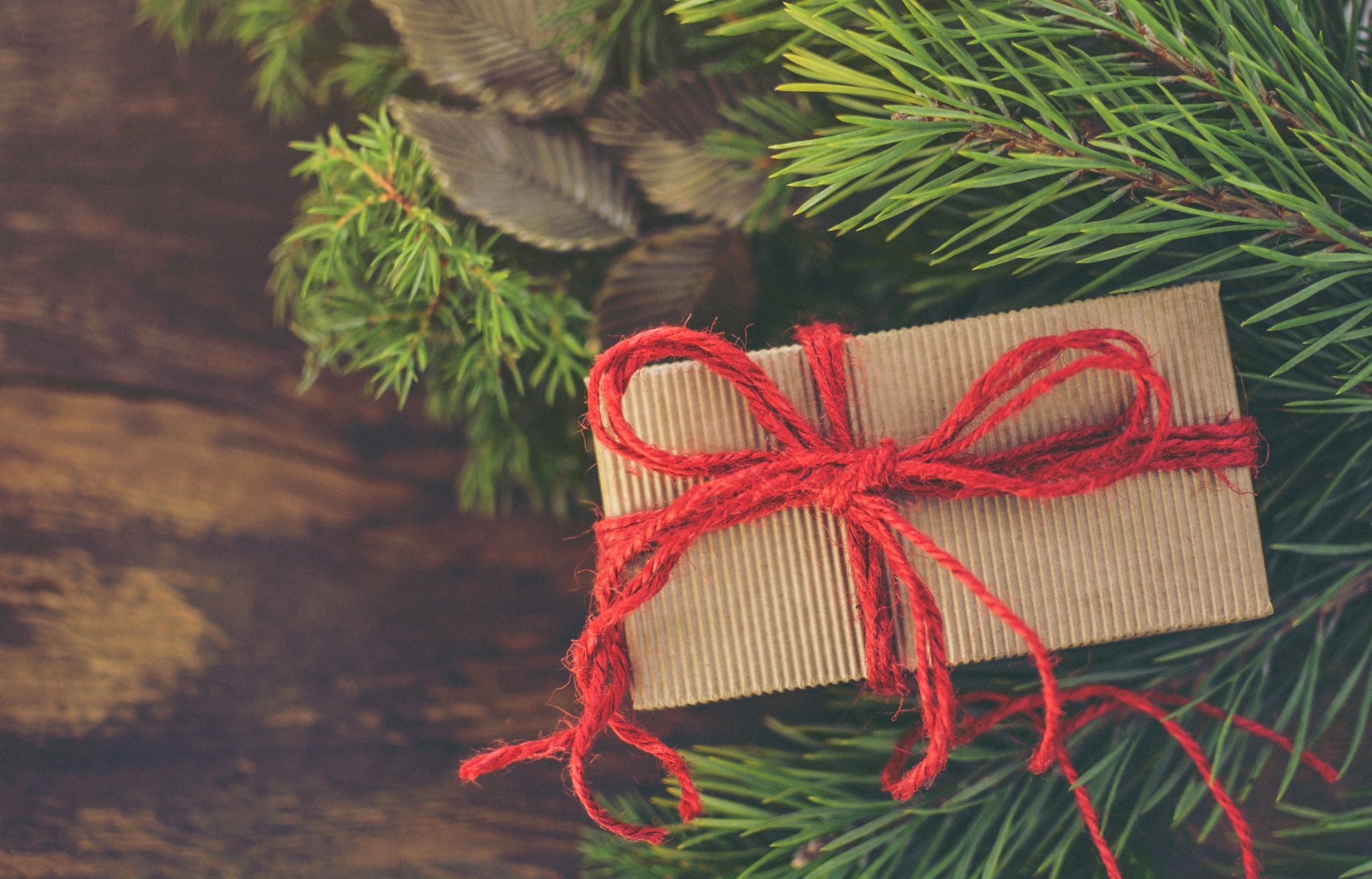 10 idées cadeaux qui feront plaisir à votre ami.e écolo