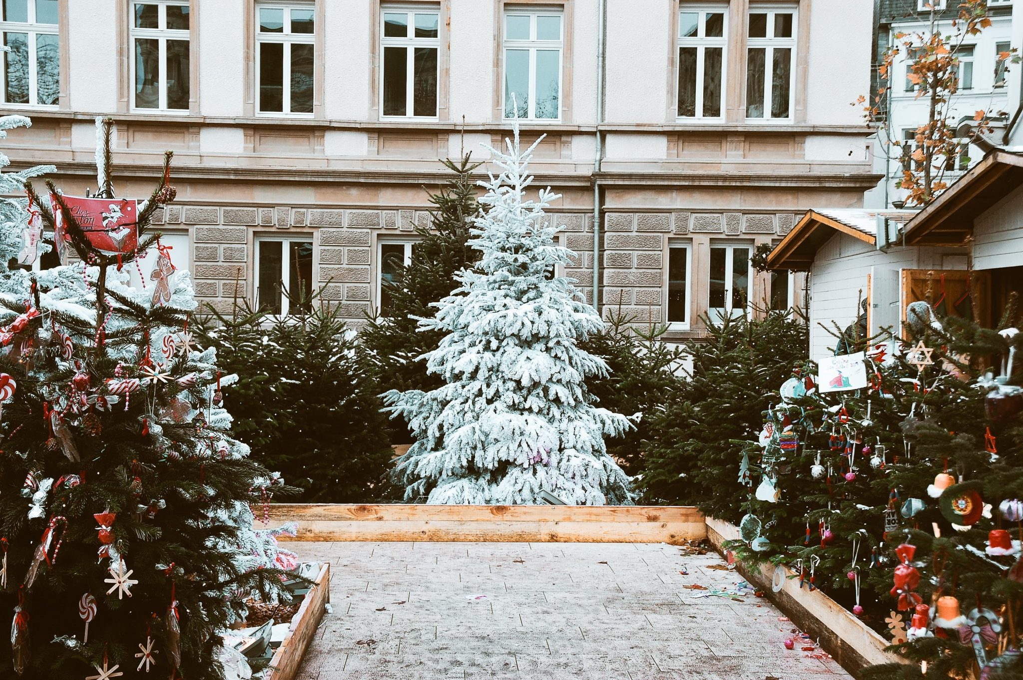 La Promenade Masson se met en mode Noël ce week-end!