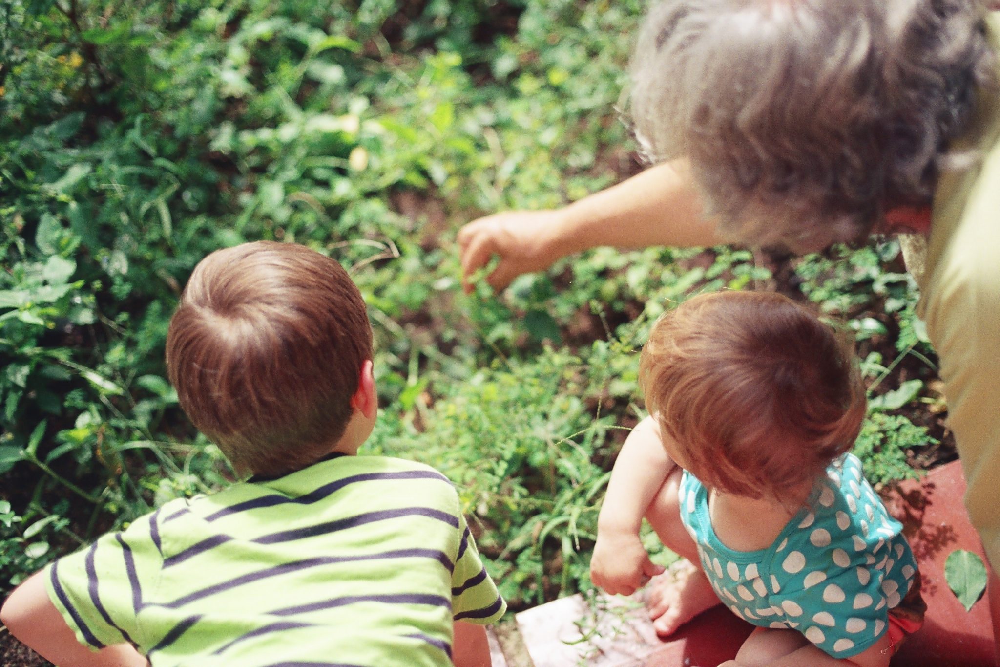 Les grands-parents de moins de 70 ans pourront garder leurs petits-enfants en respectant ces consignes [VIDÉO]