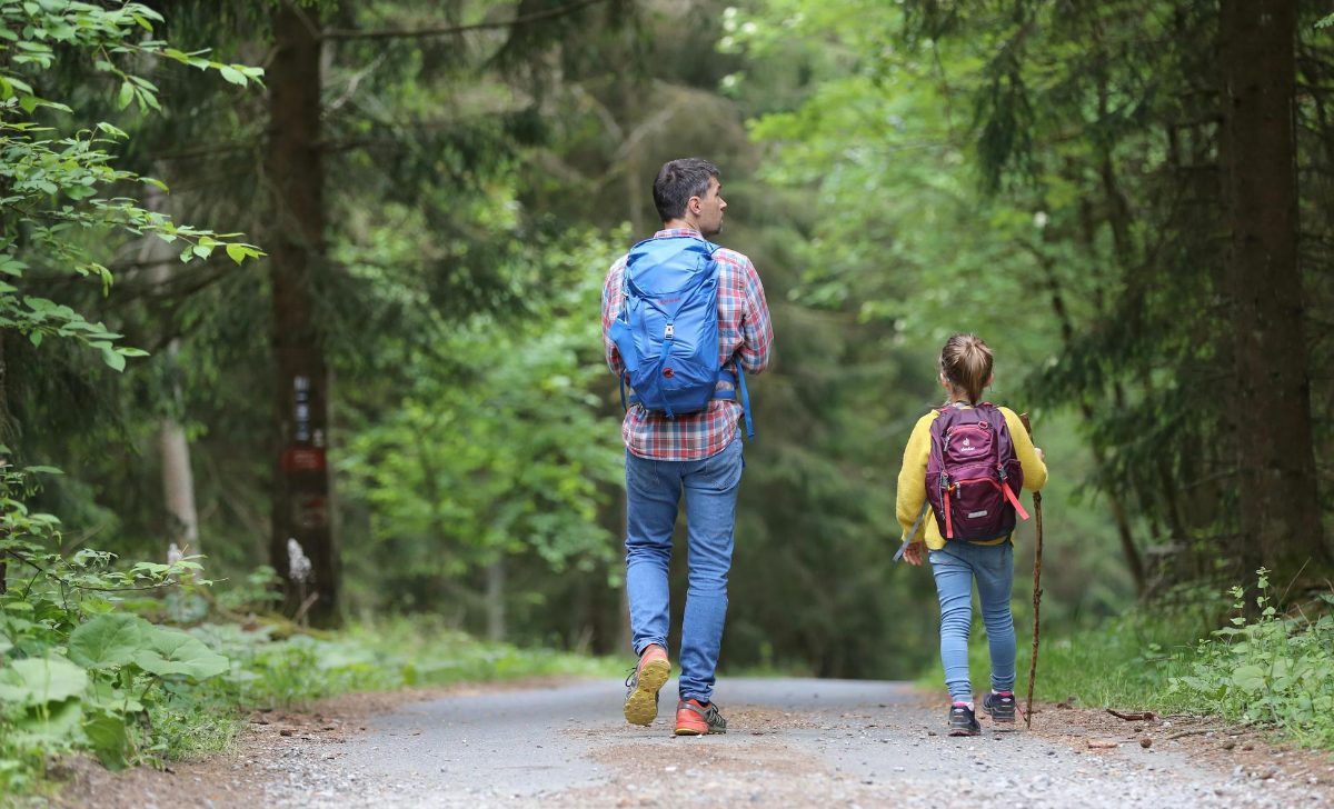 3 randonnées à faire en famille au Parc national des Grands-Jardins