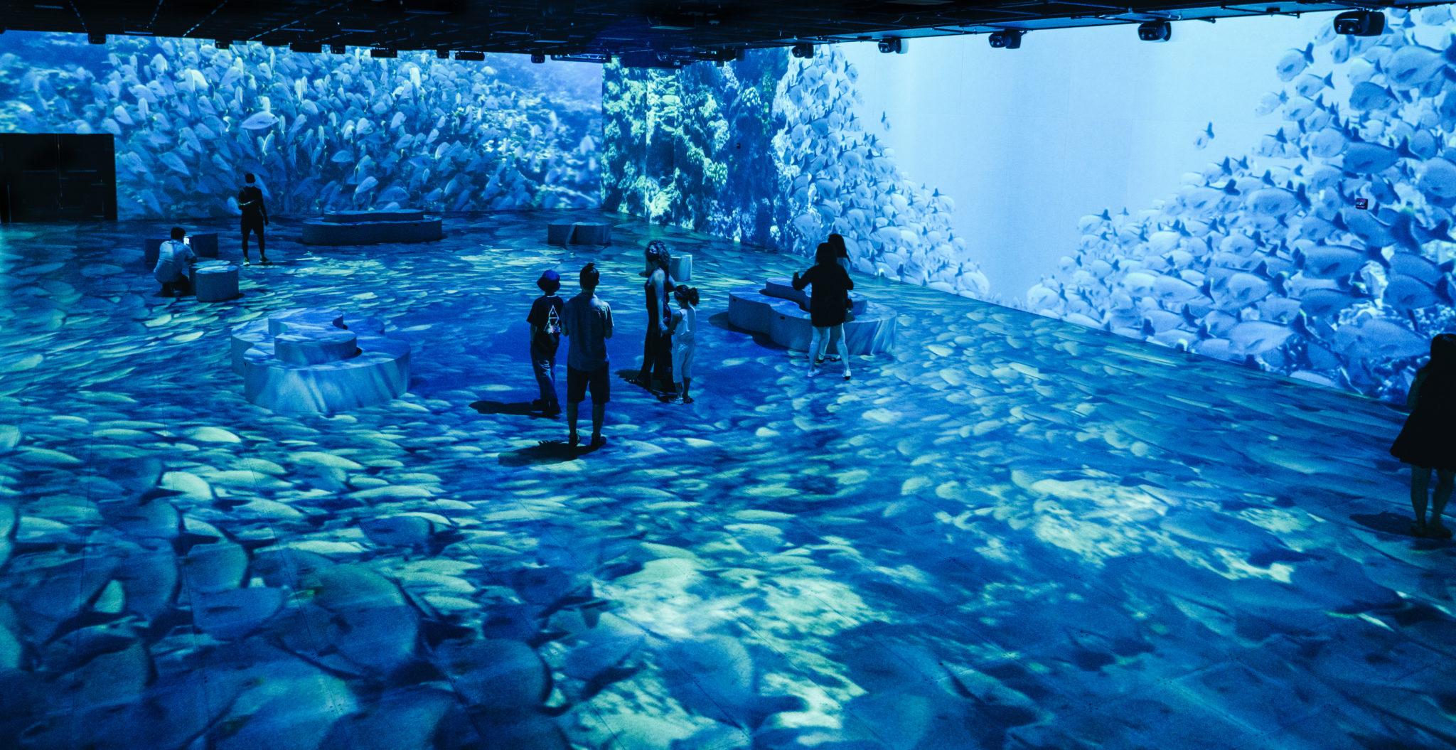 5 expositions immersives à voir en famille