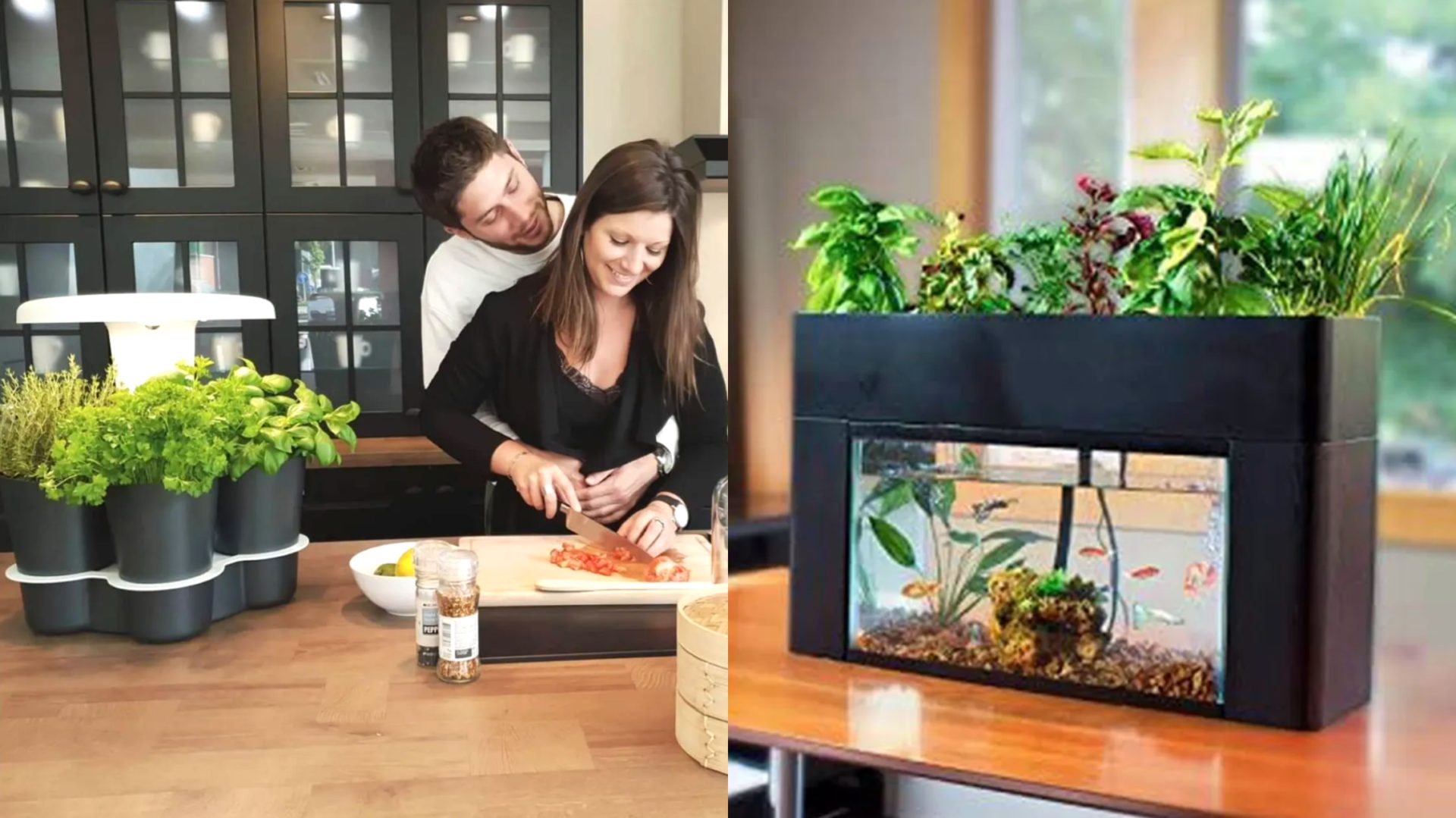 12 jardins intelligents à se procurer pour cultiver des produits frais toute l’année!