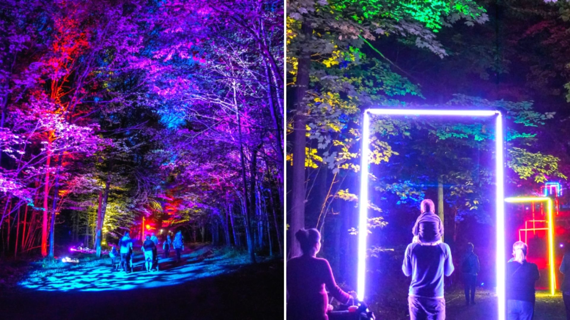 Découvrez gratuitement un parcours illuminé dans les bois pour la fête des Mères