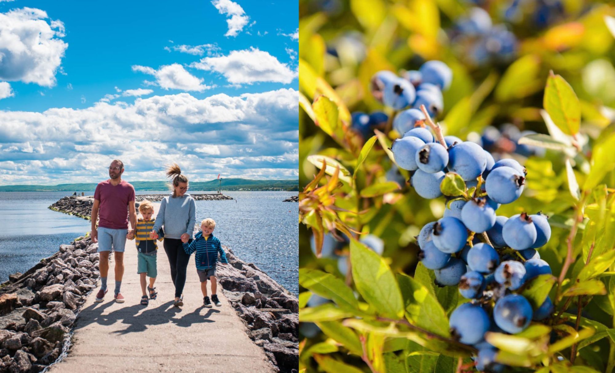 Venez faire un tour au Lac! Voici 4 activités pour bien profiter de la région