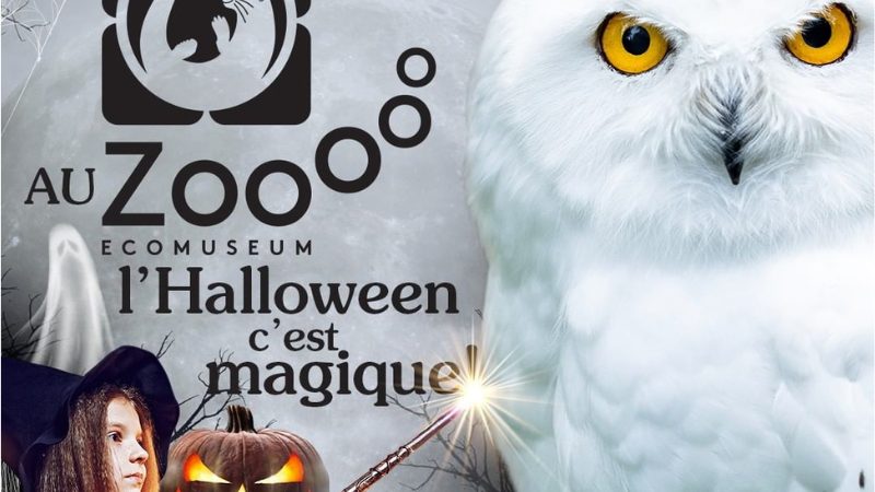 L’Halloween… au zoo!