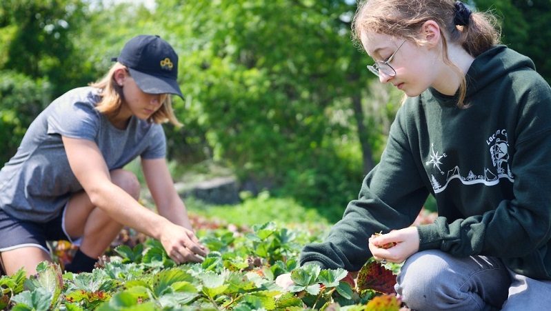 Un été gourmand et musical s’annonce au Jardin botanique de Montréal!