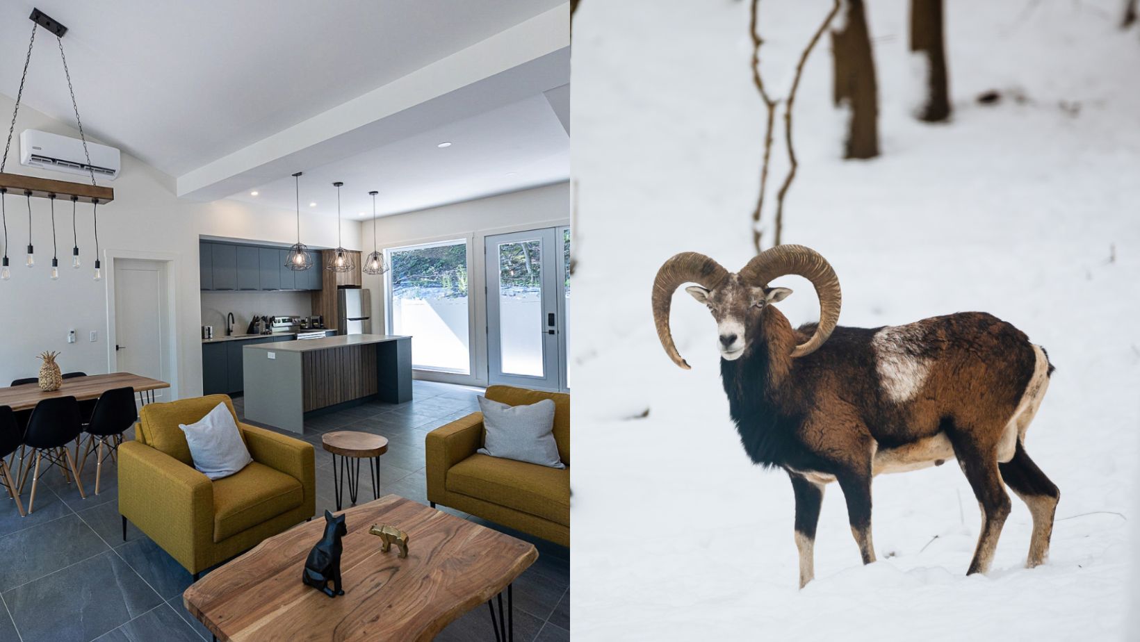 Des nouveaux logements pour dormir avec les animaux sauvages au Parc Oméga!