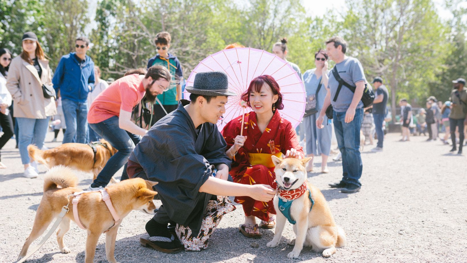 Cet événement canin gratuit remplira de bonheur votre coeur de dog lover!