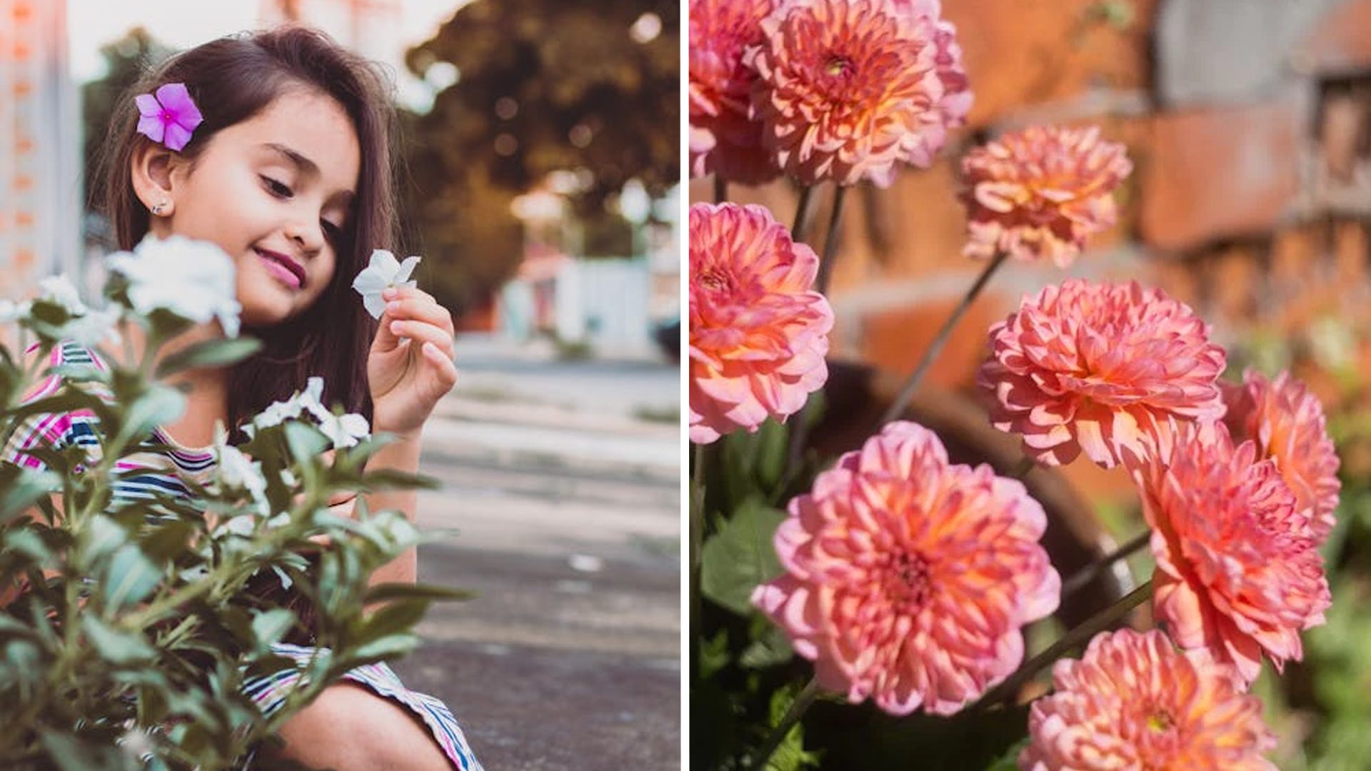 14 jolis prénoms de filles inspirés par les fleurs