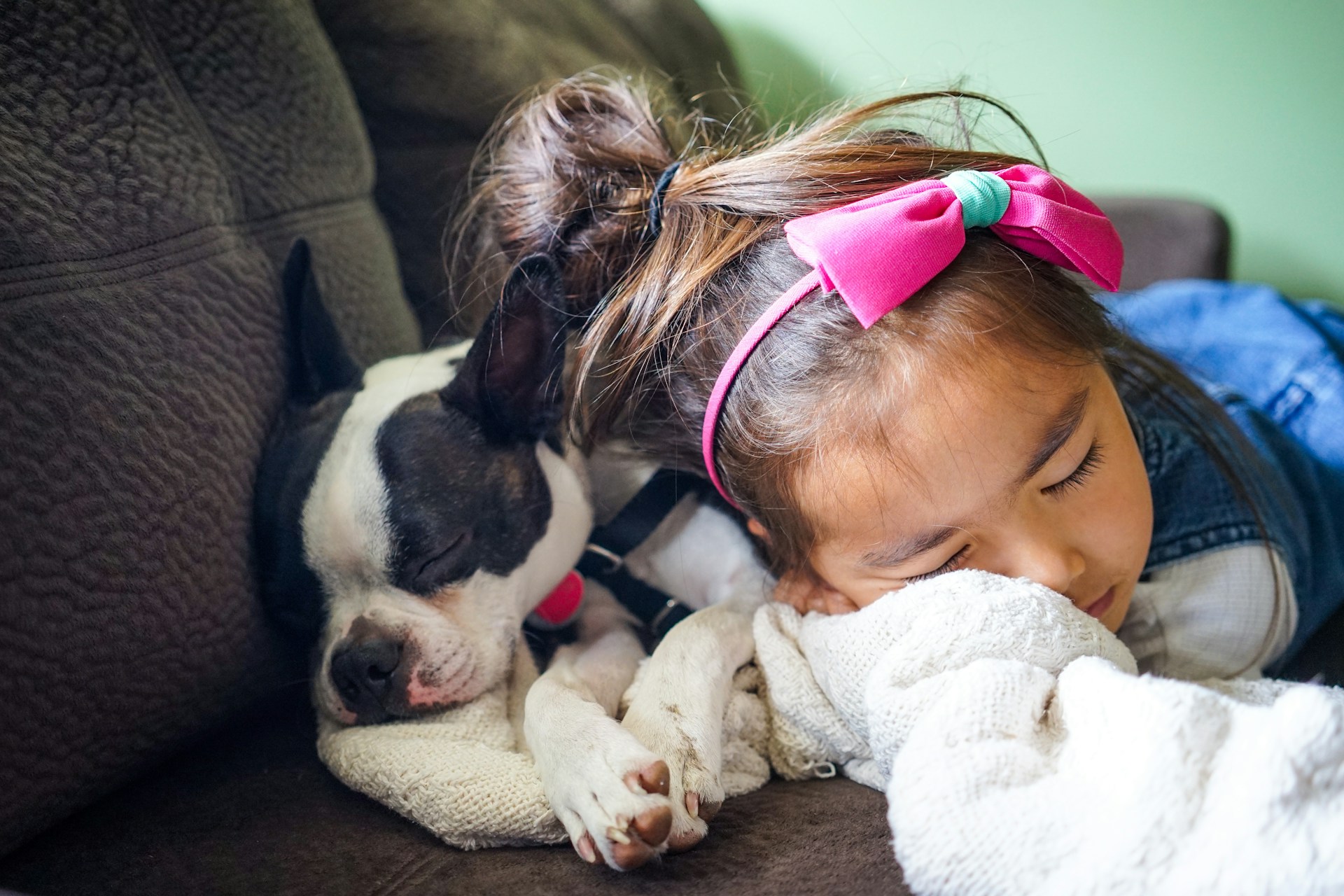 Les 20 meilleures et pires races de chiens pour les enfants