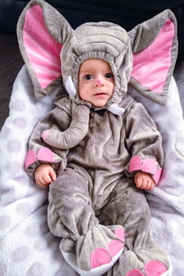 Une galerie photo des enfants des TPL Moms pour dire un adieu définitif à l'Halloween 2015!
