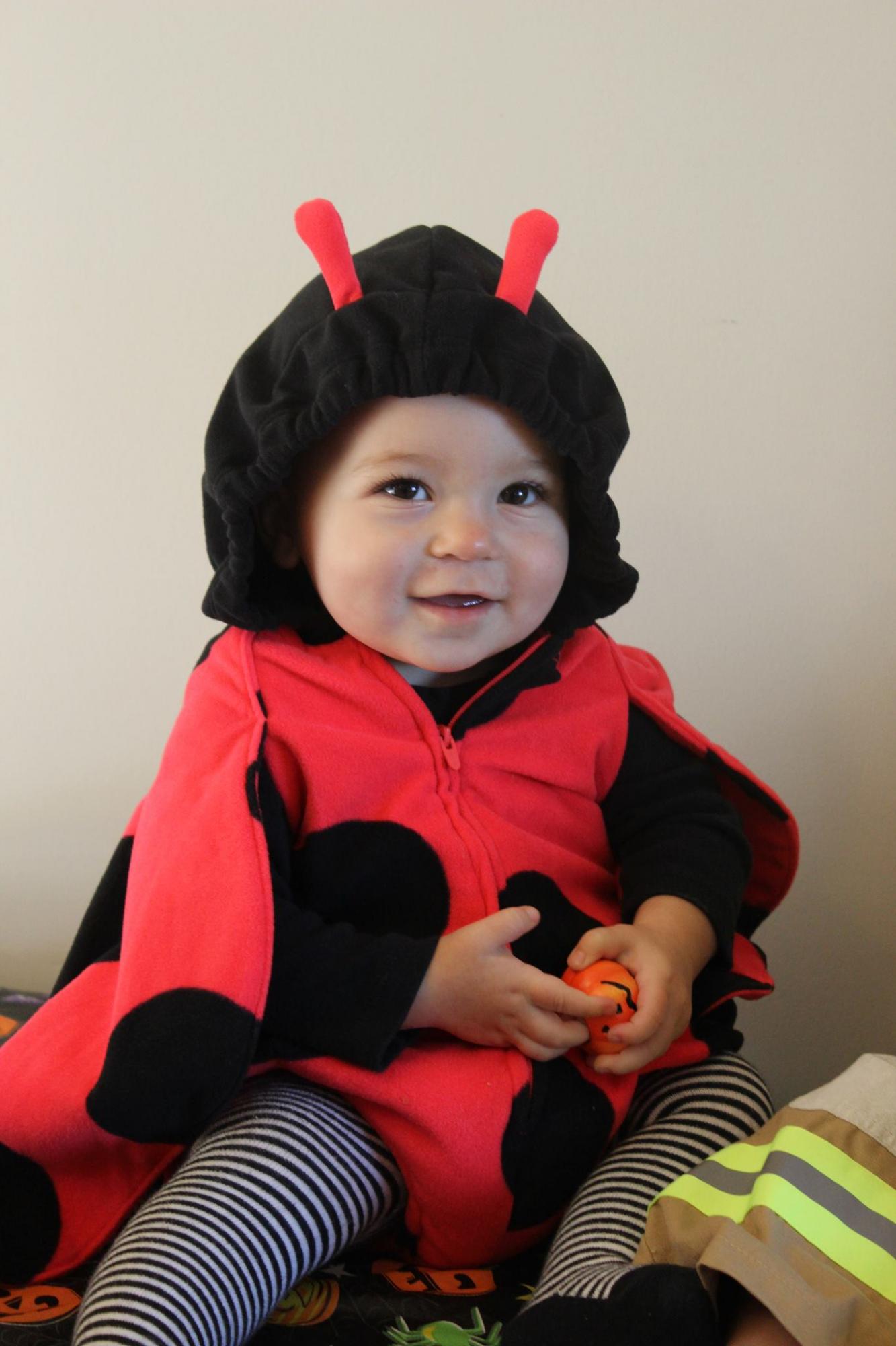 Une galerie photo des enfants des TPL Moms pour dire un adieu définitif à l'Halloween 2015!