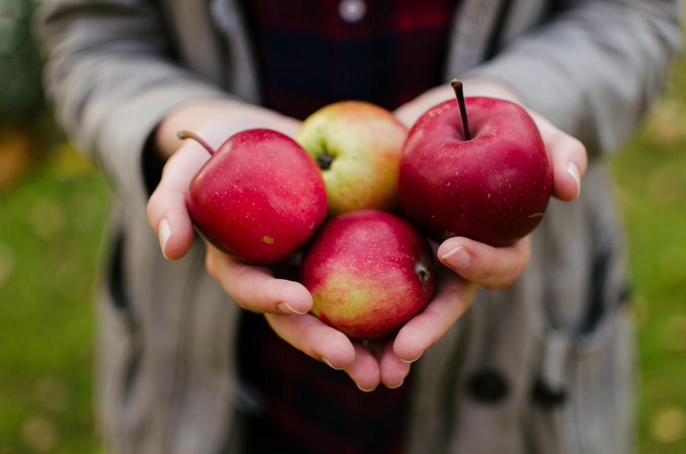 Cuisiner la pomme