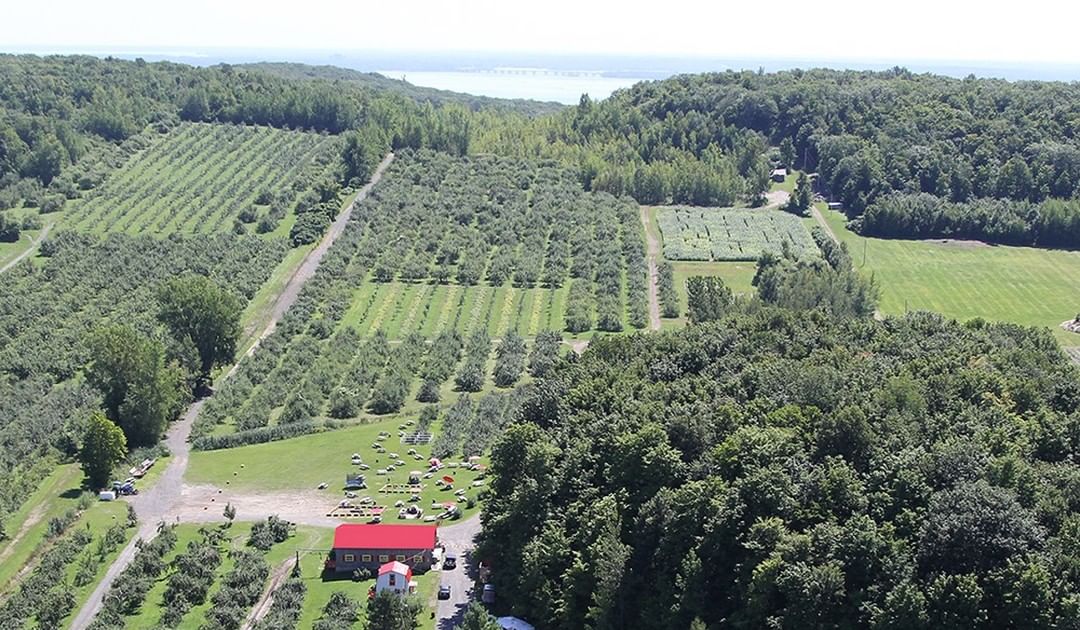Le Verger La Bonté de la pomme