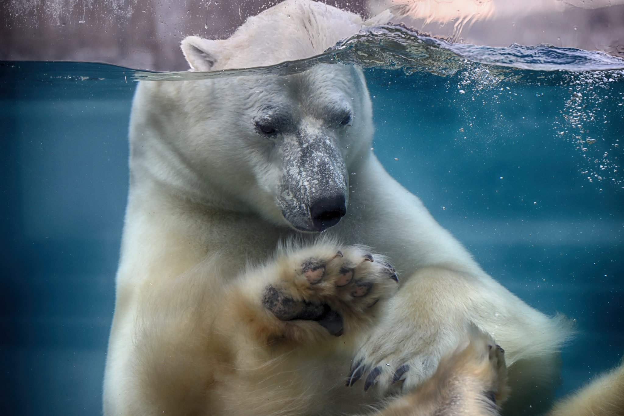 Visiter l’Aquarium de Québec