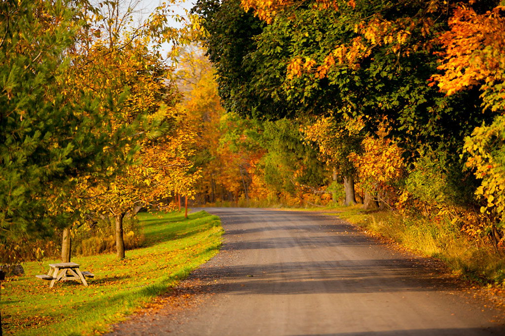 Parc national du Mont-Saint-Bruno, Montérégie