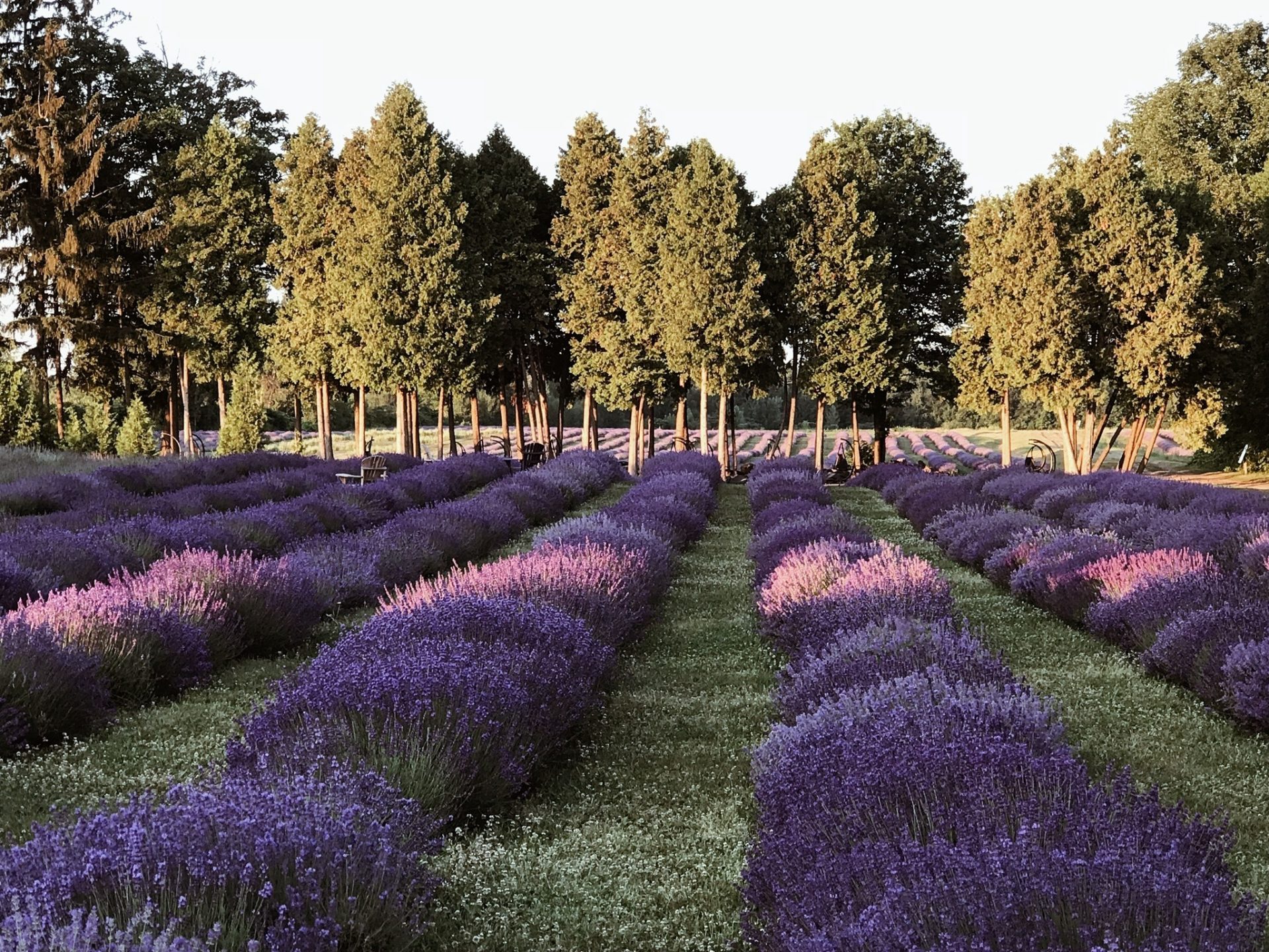 Pour relaxer au milieu de paysages féériques