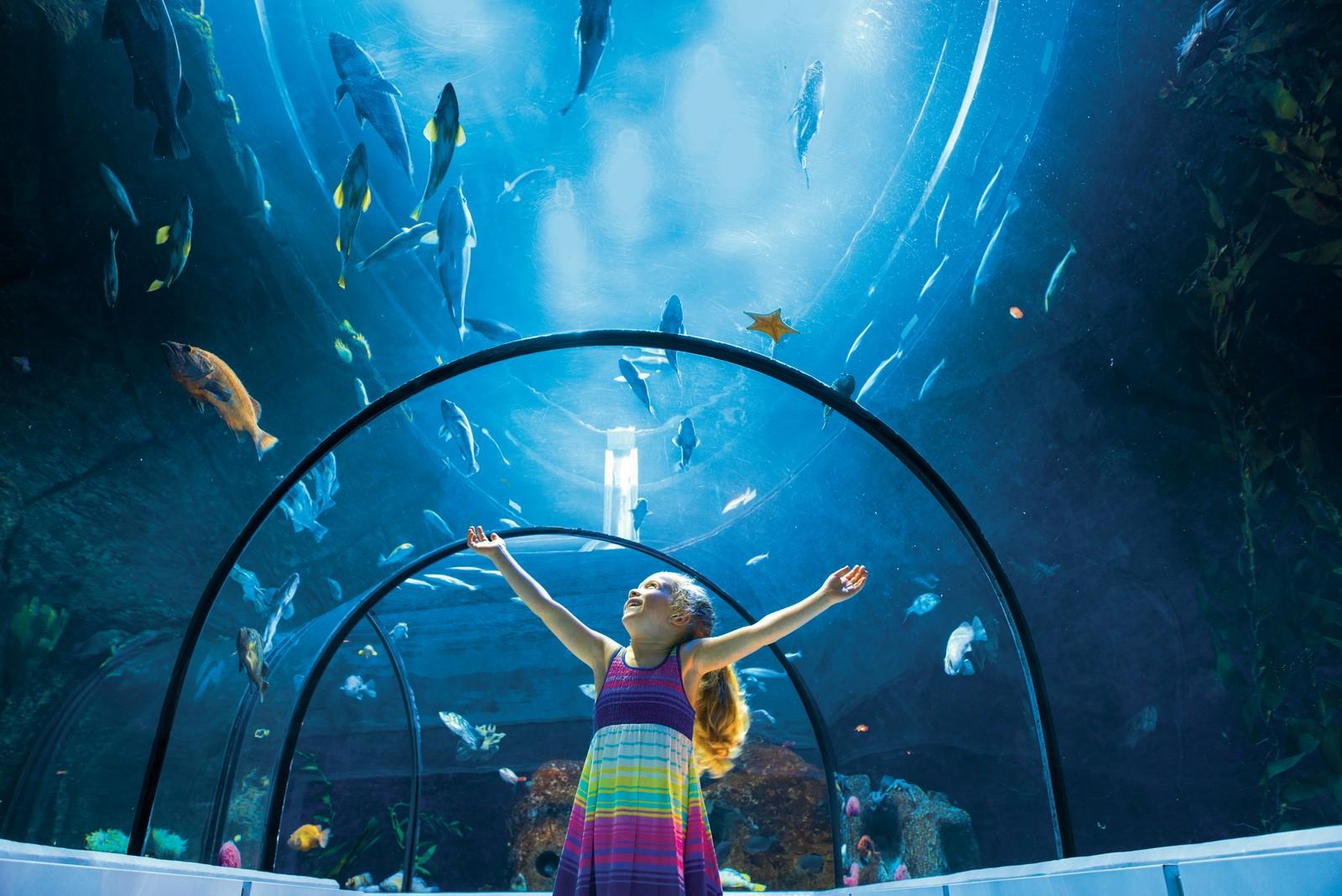 L'Aquarium du Québec