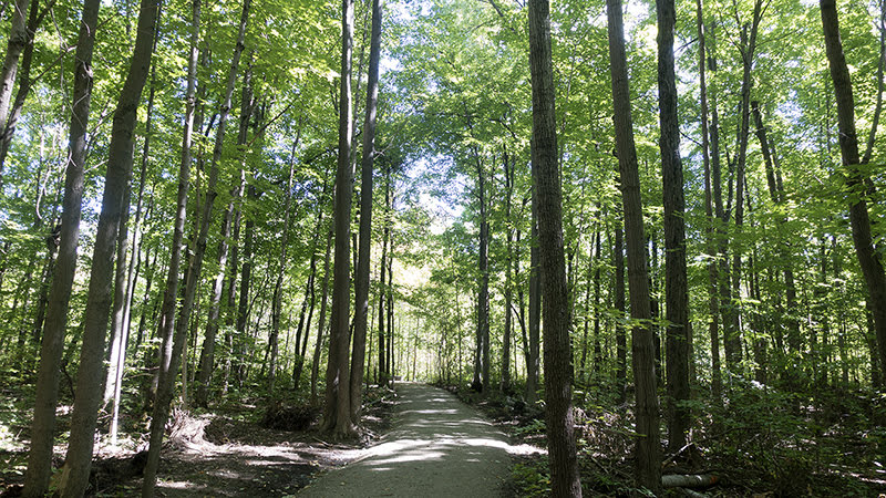 Bois de l'Équerre, Laval