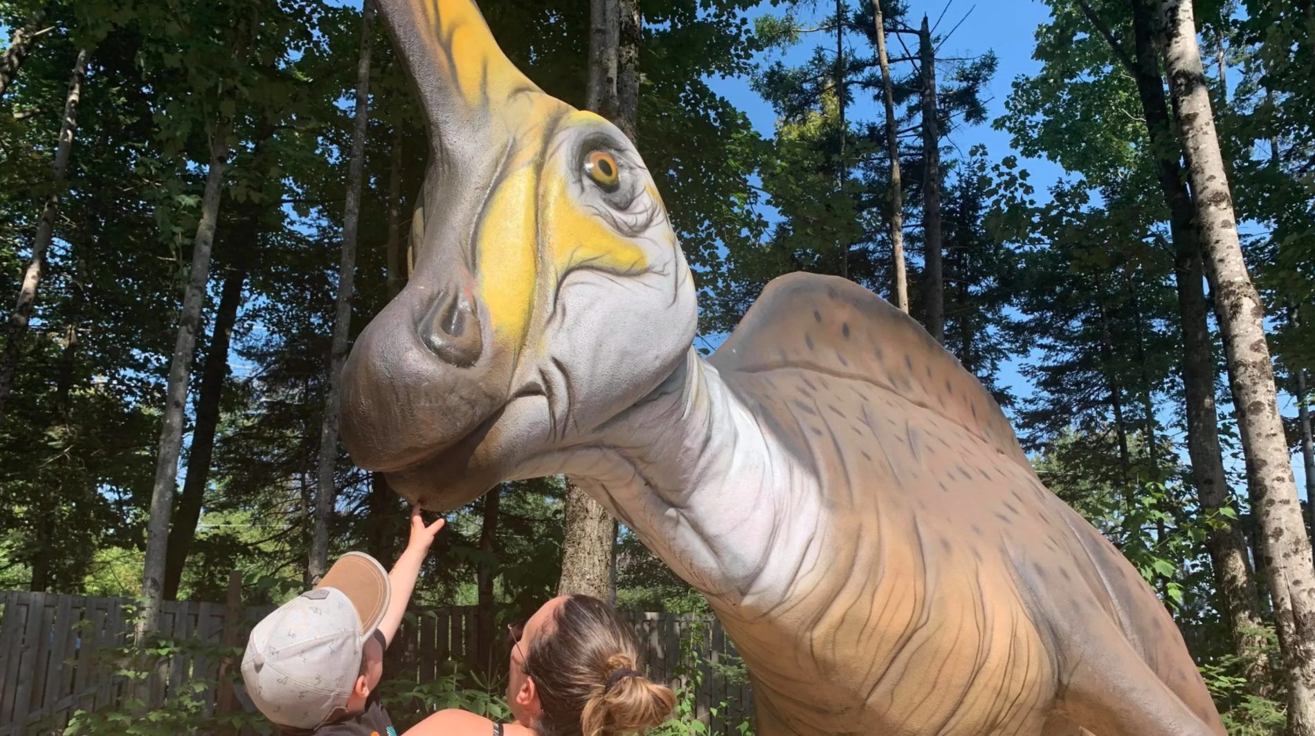 Aller au Woodooliparc