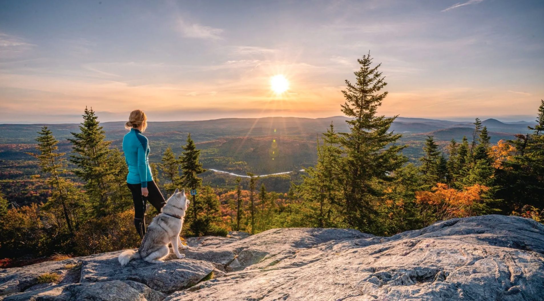 Faire une randonnée avec votre chien