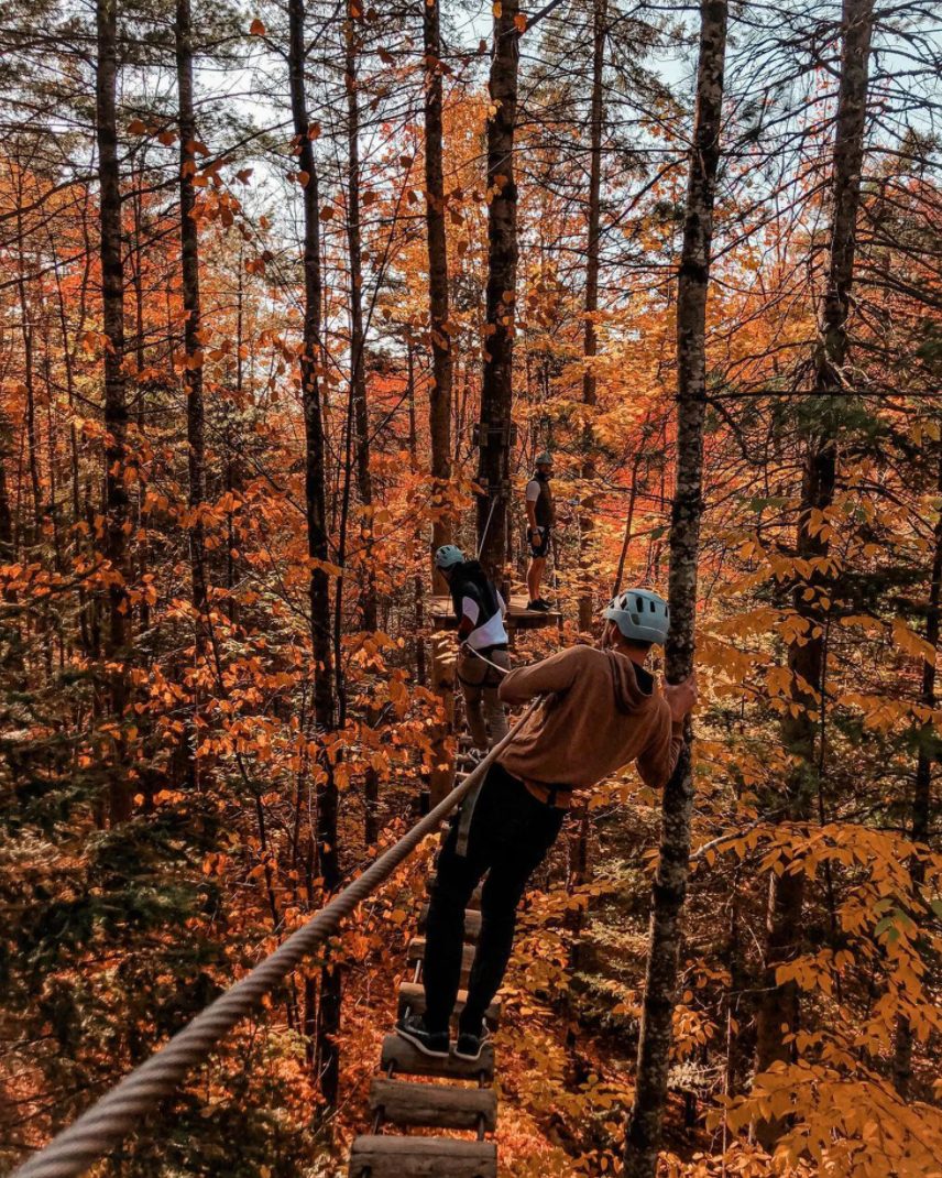 Faire une activité d'automne