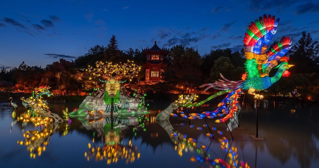 Visiter le Jardin des lumières au Jardin botanique