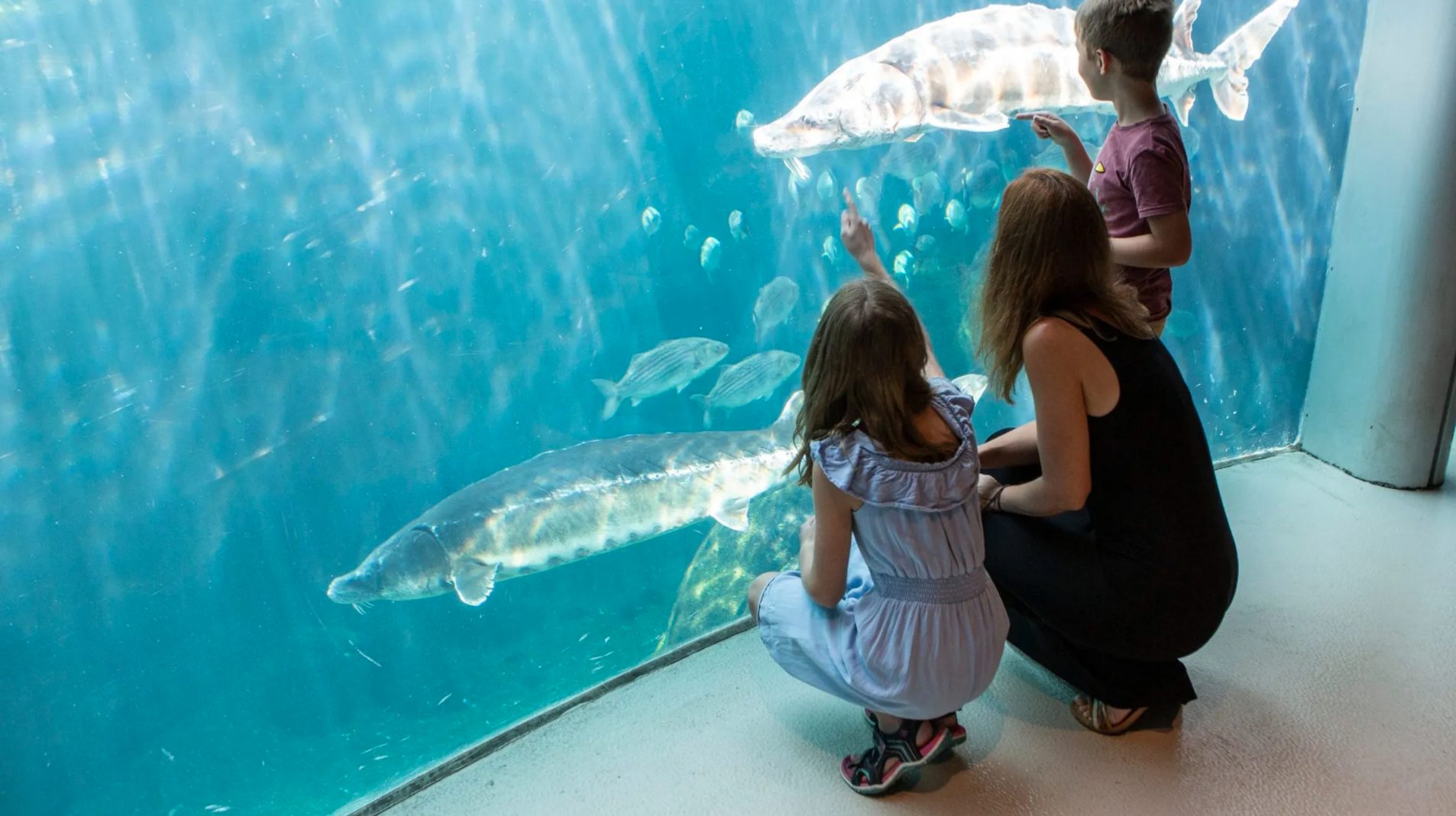 Visiter l’Espace pour la vie grâce au Passeport annuel pour les familles