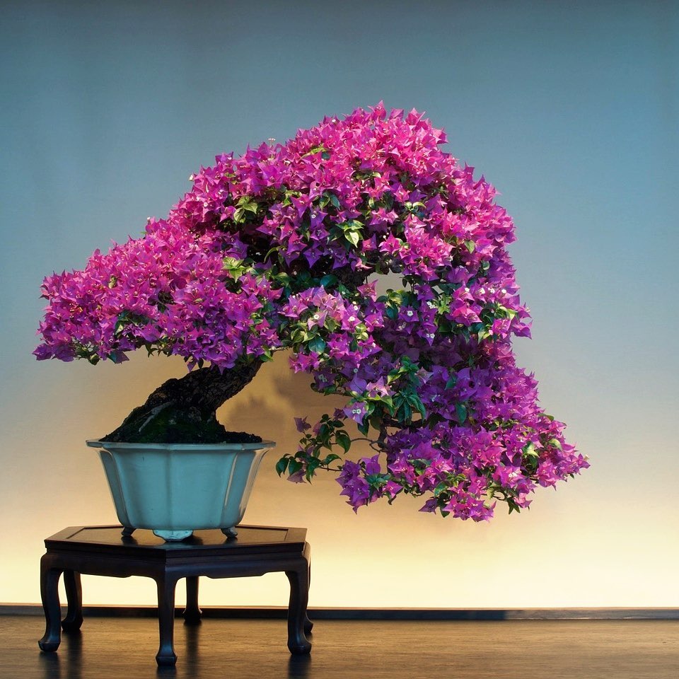 Le Jardin botanique