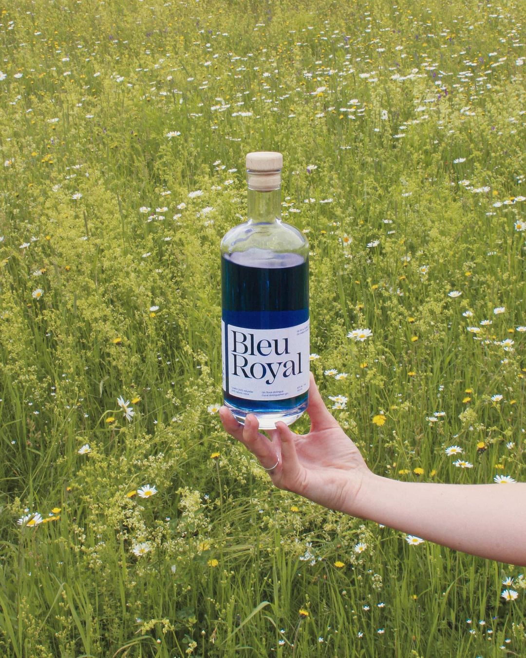 Gin BleuRoyal