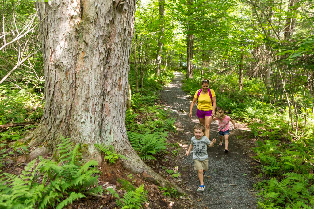 Parc national de Frontenac