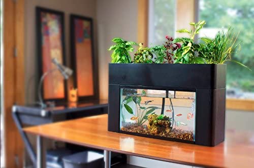 Jardin AquaSprouts