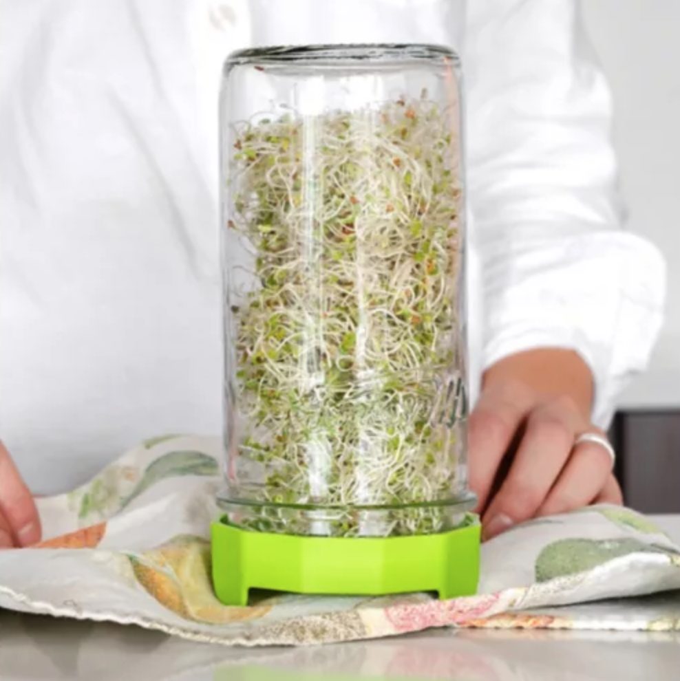 Trousse pour germination - Masontops