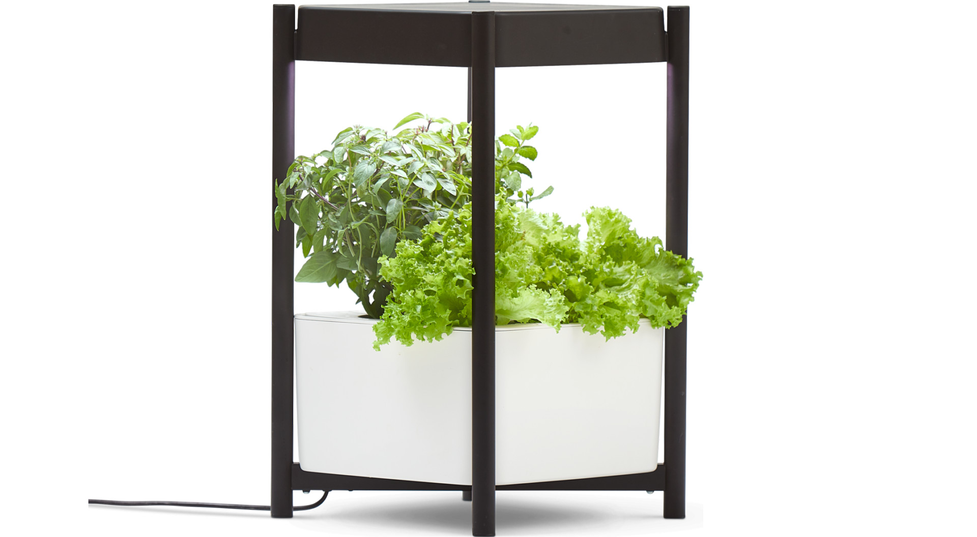 Système de culture intérieure - MiracleGro Twelve