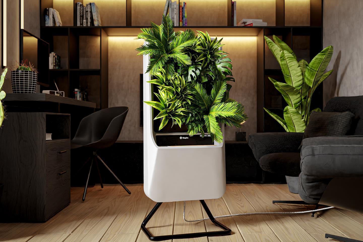 Jardin purificateur d’air - Respira